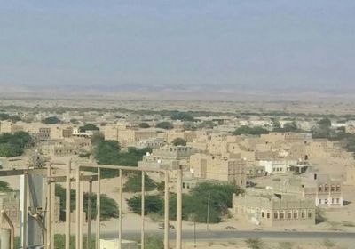 حزام أحور يبحث آليات الرد على الحملات المأجورة