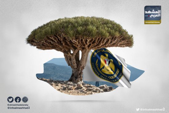 بهاشتاج "سقطرى العرب".. الجنوب يصون أرخبيله من الأطماع التركية