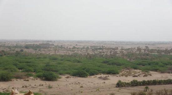 مدفعية المليشيا الحوثية تقصف مساكن الجبلية ومزارعها
