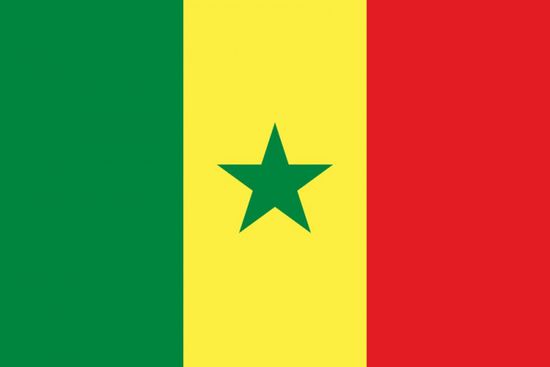 السنغال تسجل 30 إصابة جديدة بكورونا ووفاة واحدة 