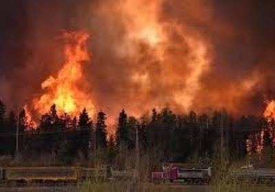  النمسا ترفض قبول اللاجئين المتضررين من حريق جزيرة ليسيوس باليونان