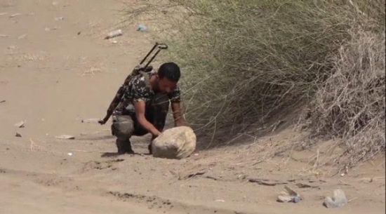 إبطال عبوة ناسفة زرعتها المليشيا في الحديدة