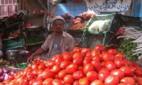 الطماطم تقفز لأسعار غير مسبوقة في لحج