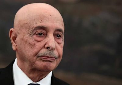 عقيلة صالح: حريصون على بناء دولة القانون والمؤسسات في ليبيا