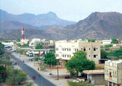 في واقعة مُشينة.. مليشيا الإخوان تُنكل بأسير مُقيد بمودية