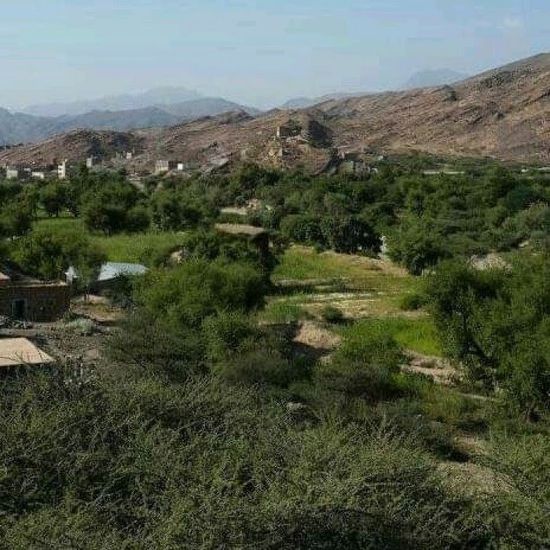 تواصل الاعتداء على وحدة وادي المصراح بردفان