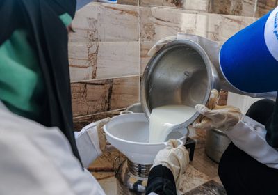 "فاو" تدعم المعيلات في لحج بمشروعات صناعة الألبان