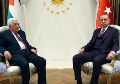صحفي: القضية الفلسطينية تحولت للعبة إخوانية بسبب تركيا