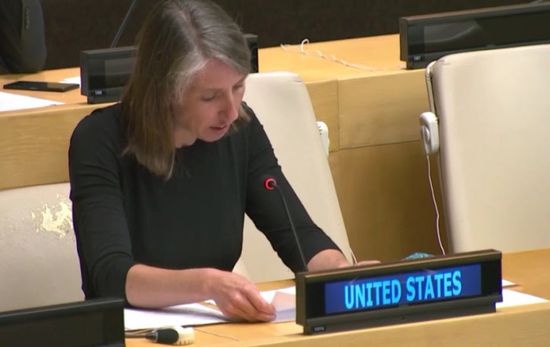 اتهمت إيران بإشعال اليمن.. أمريكا تطالب بتشكيل حكومة المناصفة