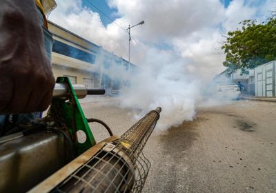 "الصحة العالمية" تواصل مكافحة "الضنك" في عدن