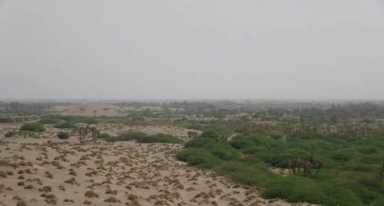 هجوم حوثي على مساكن الجبلية وطرقها