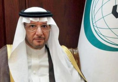 "التعاون الإسلامي" تندد بالإرهاب الحوثي ضد السعودية