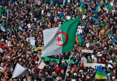 الجزائر.. مراجعة القوائم الانتخابية استعدادًا للاستفتاء على الدستور