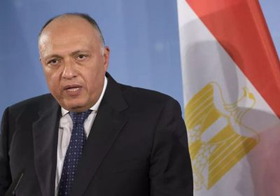 شكري: مصر والأردن لهما اتصال مباشر مع القضية الفلسطينية عبر العصور