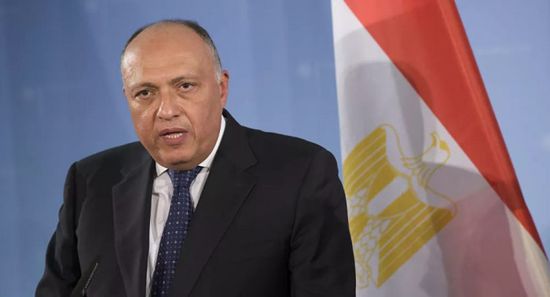 شكري: مصر والأردن لهما اتصال مباشر مع القضية الفلسطينية عبر العصور