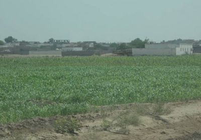 مليشيا الحوثي تقصف أهدافا مدنية في التحيتا