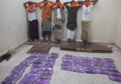 الأجهزة الأمنية تضبط 63 كيلو حشيش مخدر