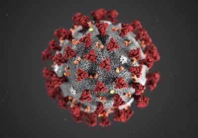 "لجنة كورونا": شفاء 6 حالات إصابة من الفيروس