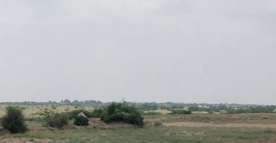 مليشيا الحوثي تعزز تمركزاتها في شمال حيس