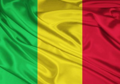 رئيس مالي يلتقي بالمبعوث الأمريكي الخاص إلى منطقة الساحل