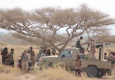 القوات المشتركة تُكبد مليشيا الحوثي خسائر بالدريهمي