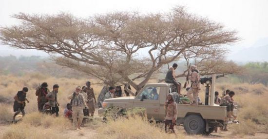 القوات المشتركة تُكبد مليشيا الحوثي خسائر بالدريهمي