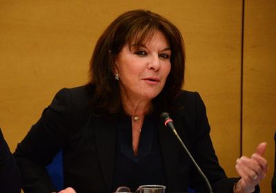 سيناتور فرنسي: لا يجب أن نميز بين حزب الله والإخوان