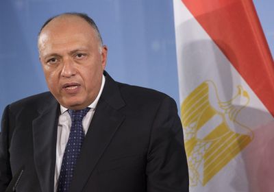  وزير الخارجية المصري لـ "بيدرسون": داعمون لحل الأزمة السورية