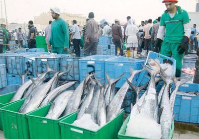  السعودية ترفع تعليق استيراد أسماك الصيد البحري من فيتنام