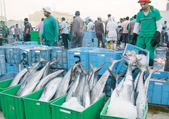  السعودية ترفع تعليق استيراد أسماك الصيد البحري من فيتنام