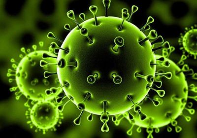 سلطنة عمان تسجل 64 إصابة جديدة بفيروس كورونا