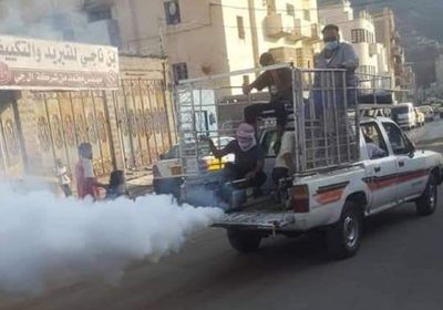 حملة رش ضبابي لمكافحة الحشرات بصيرة (صور)