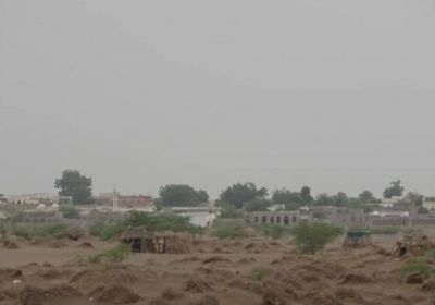 الشرق الأوسط: مليشيا الحوثي تهرب بحيلة من خسائر الحديدة