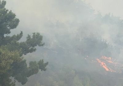 شاهد.. الجيش اللبناني يُشارك في إخماد الحرائق المشتعلة بالبلاد