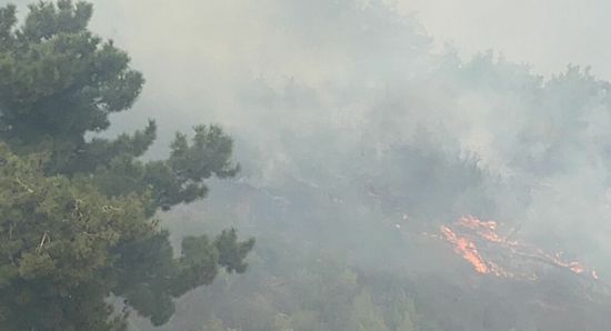 شاهد.. الجيش اللبناني يُشارك في إخماد الحرائق المشتعلة بالبلاد