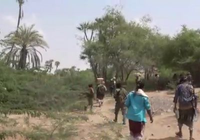شاهد.. تطهير مناطق في الدريهمي من المتسللين الحوثيين