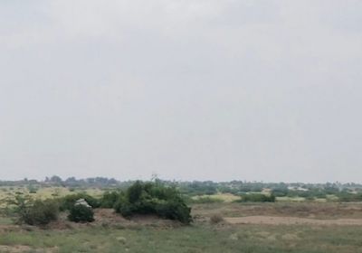 تعزيزات عسكرية حوثية تصل إلى حيس