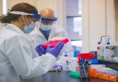 باحثون أستراليون يكتشفون مفاجأة عن فيروس كورونا