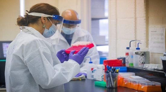 باحثون أستراليون يكتشفون مفاجأة عن فيروس كورونا