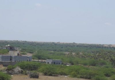 مليشيا الحوثي تشن حملات تهجير شمال الدريهمي