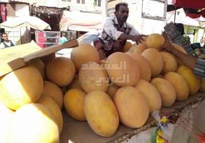 رواج محصول الشمام في أسواق أبين