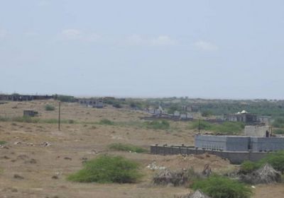 ضربات مباشرة لعناصر حوثية معادية في الدريهمي