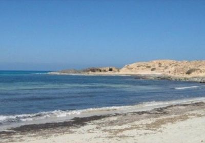 رسو سفينة مجهولة في شواطئ أحور