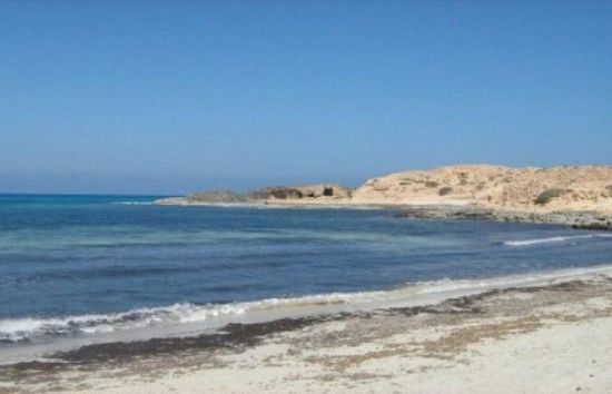 رسو سفينة مجهولة في شواطئ أحور