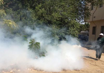 إطلاق حملة رش ضبابي في المنصورة