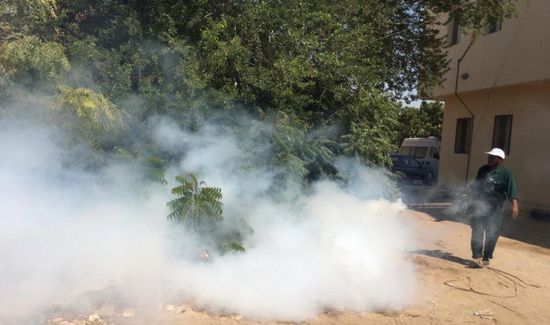 إطلاق حملة رش ضبابي في المنصورة