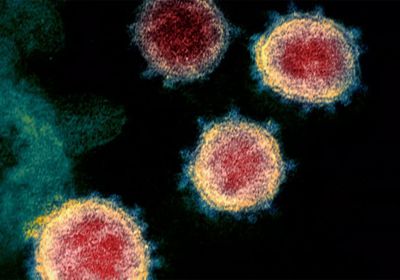 شفاء 6 مصابين من فيروس كورونا بساحل حضرموت