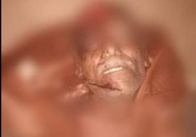 اعتراف المتهم بقتل العقيد الضنبري في المنصورة