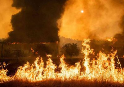 حرائق غابات كاليفورنيا تجلي 60 ألفًا من سكان الولاية