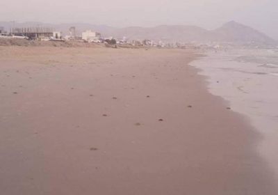 أجسام بحرية غريبة تغطي شواطئ المكلا (صور)